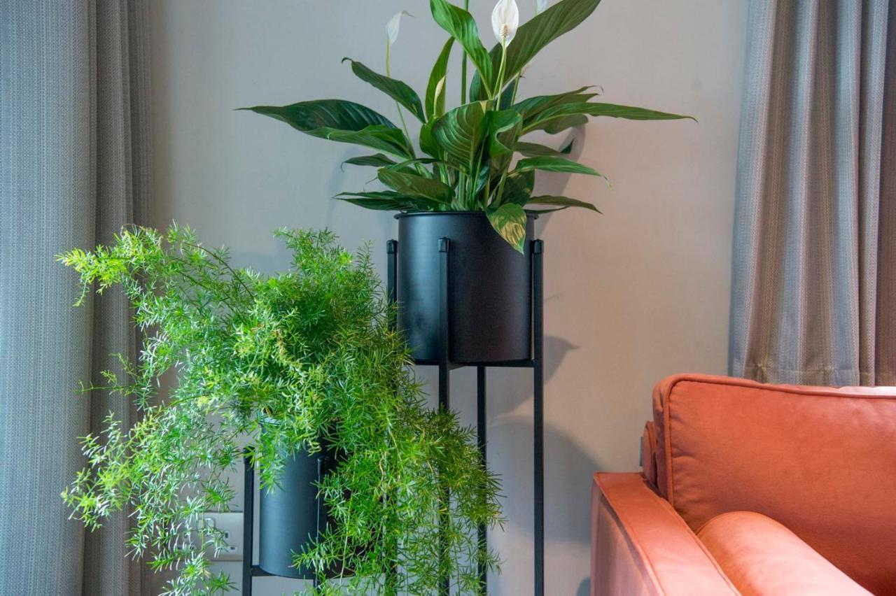 The Quadrant - The Botanical Apartment York